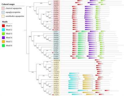 Aquaporins in Pacific White Shrimp (Litopenaeus vannamei): Molecular Characterization, Expression Patterns, and Transcriptome Analysis in Response to Salinity Stress